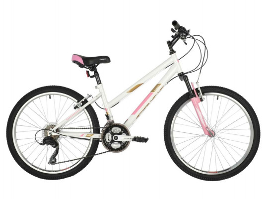 Trayl passage 24 online bike